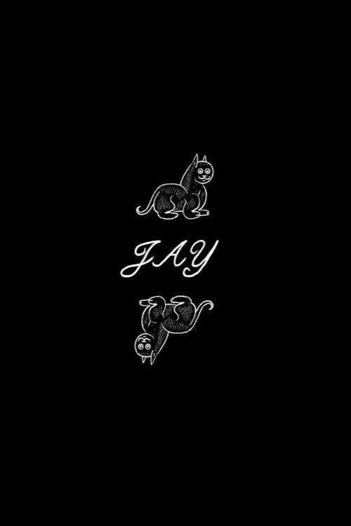 Постер Jay